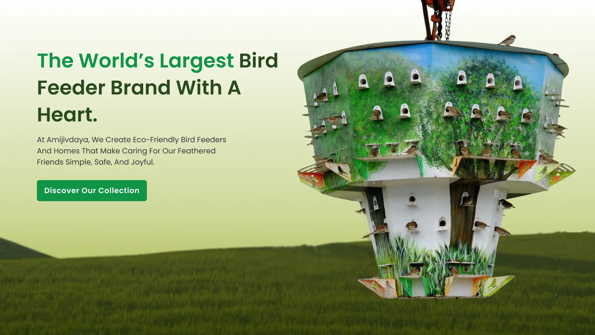 The World's Largest Bird Feeder of Amijivdaya