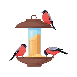 Bird Feeder