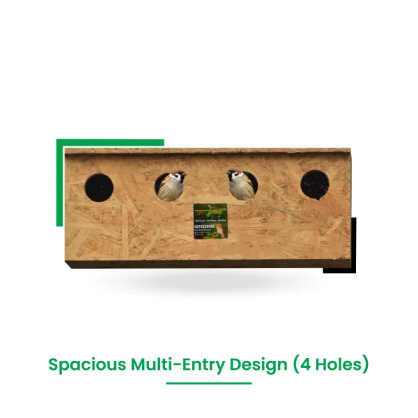 Bird Home For 4 Sparrow Family – 05