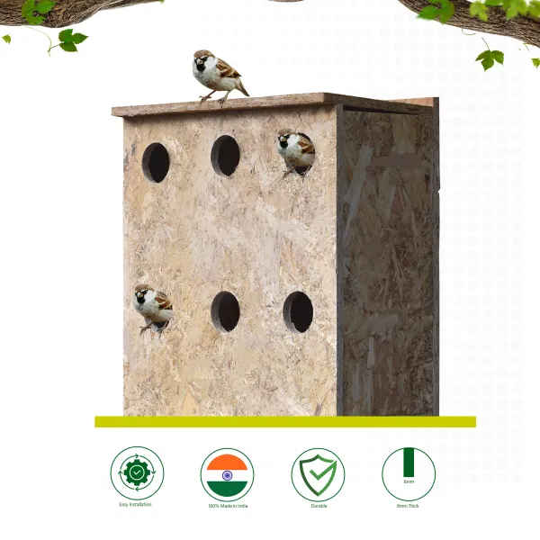 Bird Home For 6 Sparrow Family – 06
