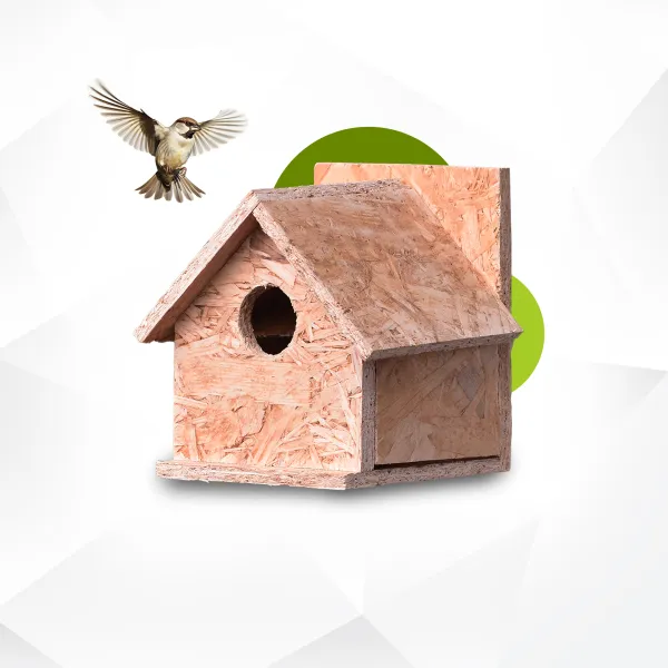 Bird Home For 1 Sparrow Family.