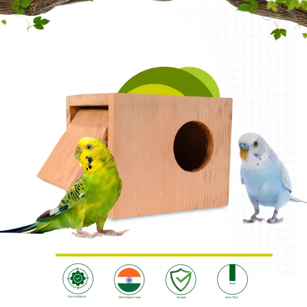 Love bird Home