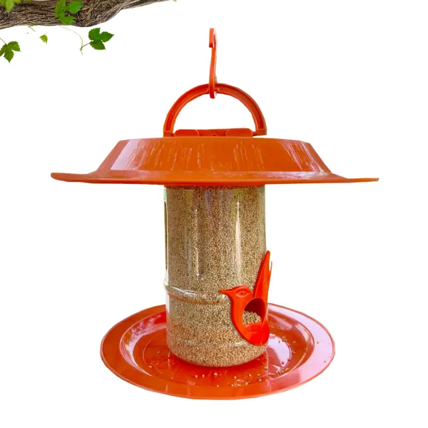 Small Bird Feeder With Hut