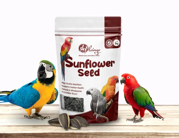 Sunflower Seeds 1kg ( Pack Of 1)
