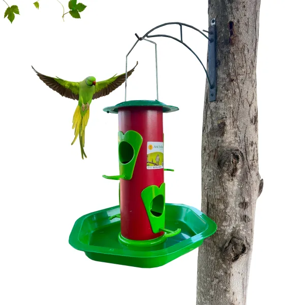 New Small Size Parrot Feeder