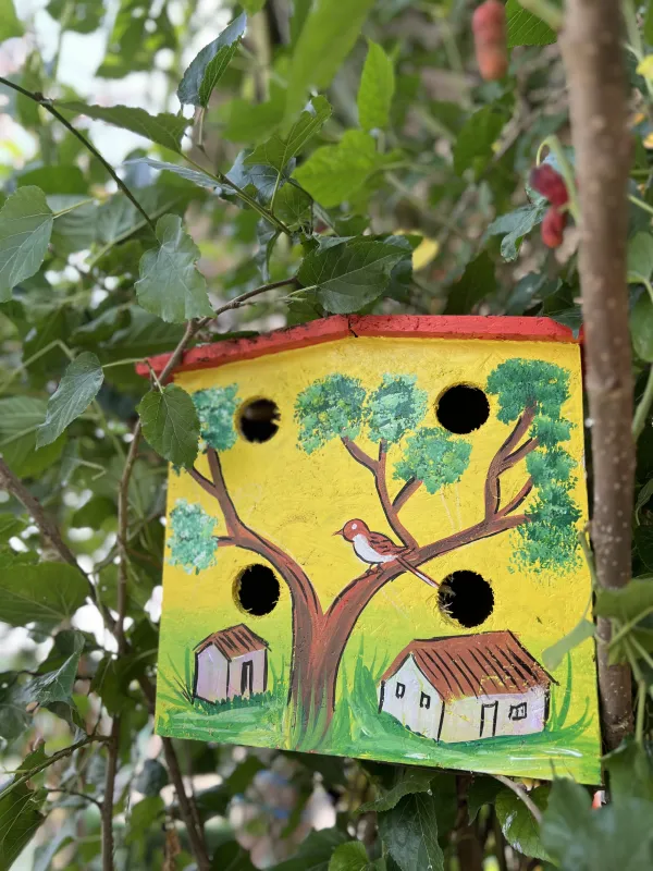 NEW Bird Home For 6 Sparrow Family