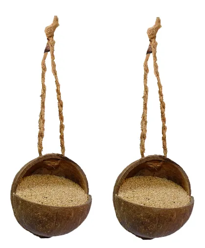 Natural Coconut shell Bird feeder Pack Of 2