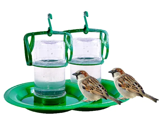 Small Water Feeder Pack Of 2
