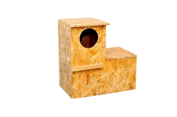 Wooden Parrot Home